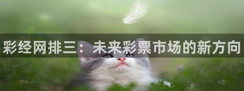 j9集团：彩经网排三：未来彩票市场的新方向