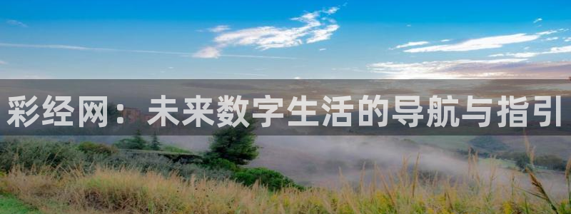 壹号大舞台入口：彩经网：未来数字生活的导航与指引