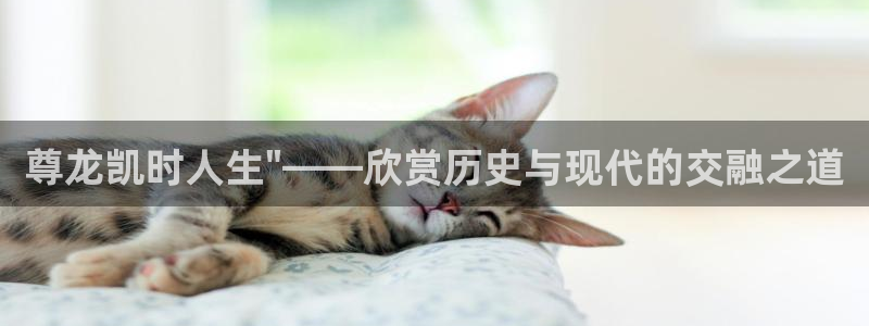 壹号下载官网入口：尊龙凯时人生\